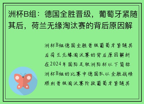 洲杯B组：德国全胜晋级，葡萄牙紧随其后，荷兰无缘淘汰赛的背后原因解析