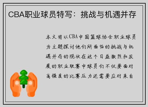 CBA职业球员特写：挑战与机遇并存